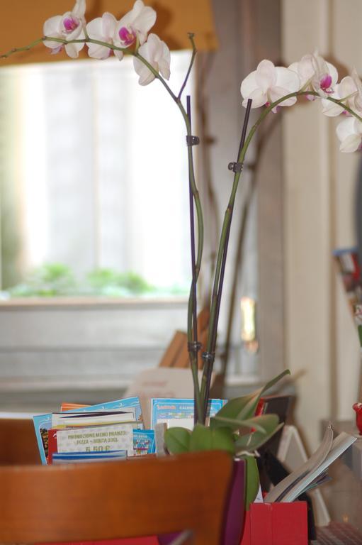 La Rosa Scarlatta Apartment Bergamo Ngoại thất bức ảnh